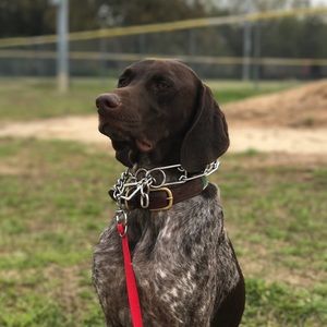 Meet your Posher, Barrett